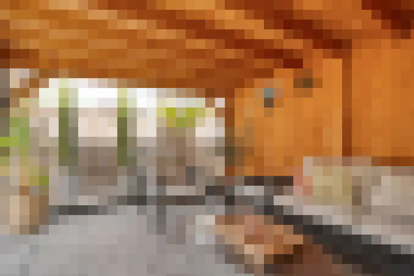 Nieuwe Deventerweg 89 Zwolle thumbnail 63