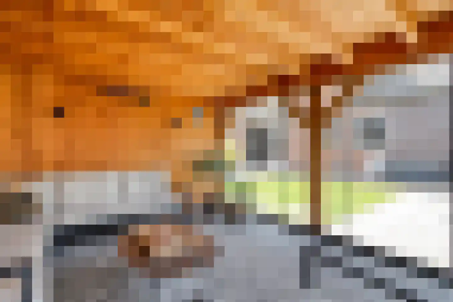 Nieuwe Deventerweg 89 Zwolle thumbnail 64