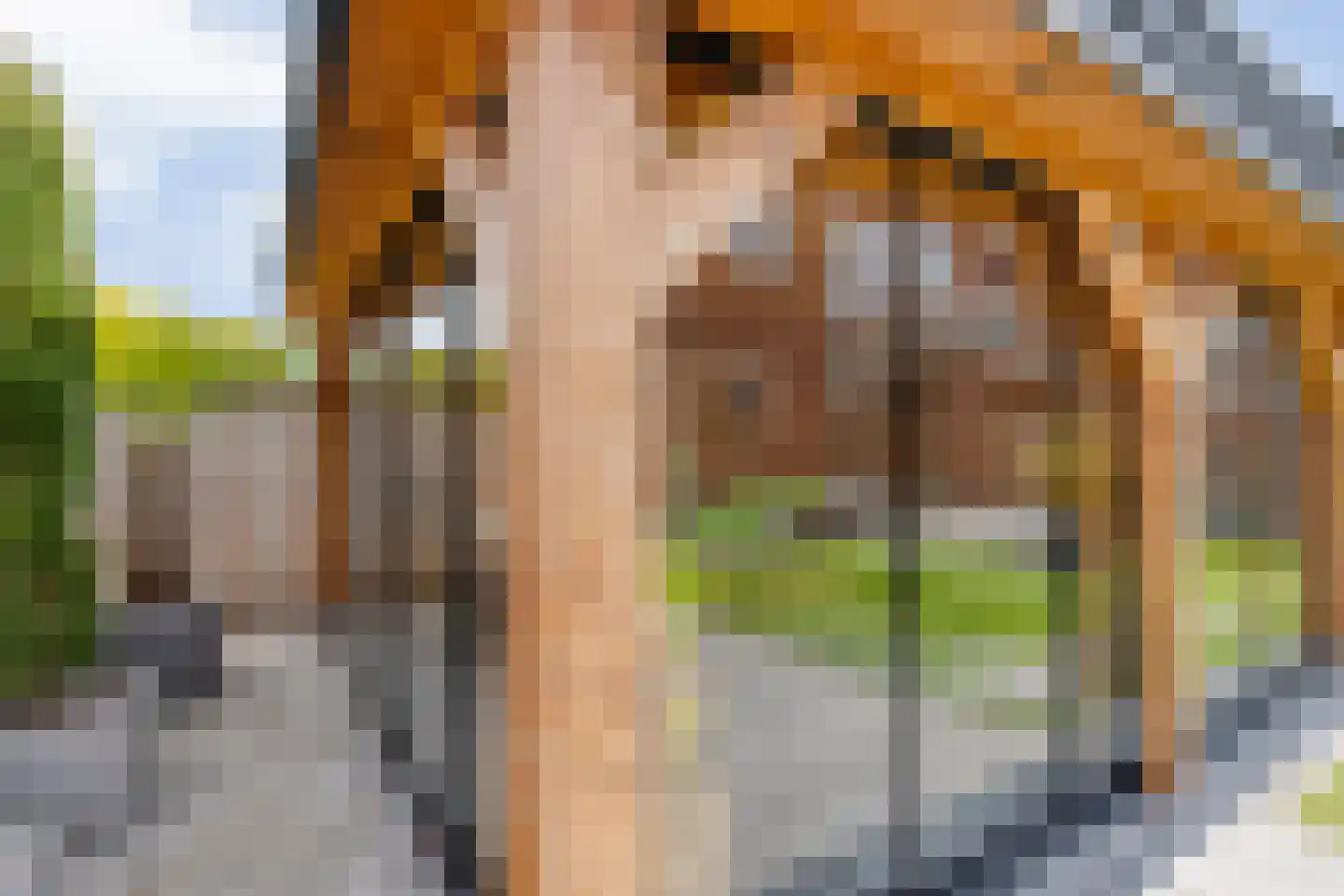 Nieuwe Deventerweg 89 Zwolle thumbnail 65
