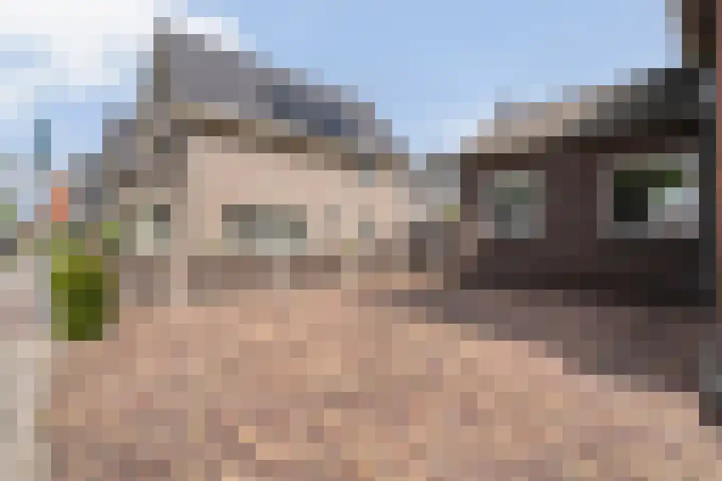 Nieuwe Deventerweg 89 Zwolle thumbnail 8