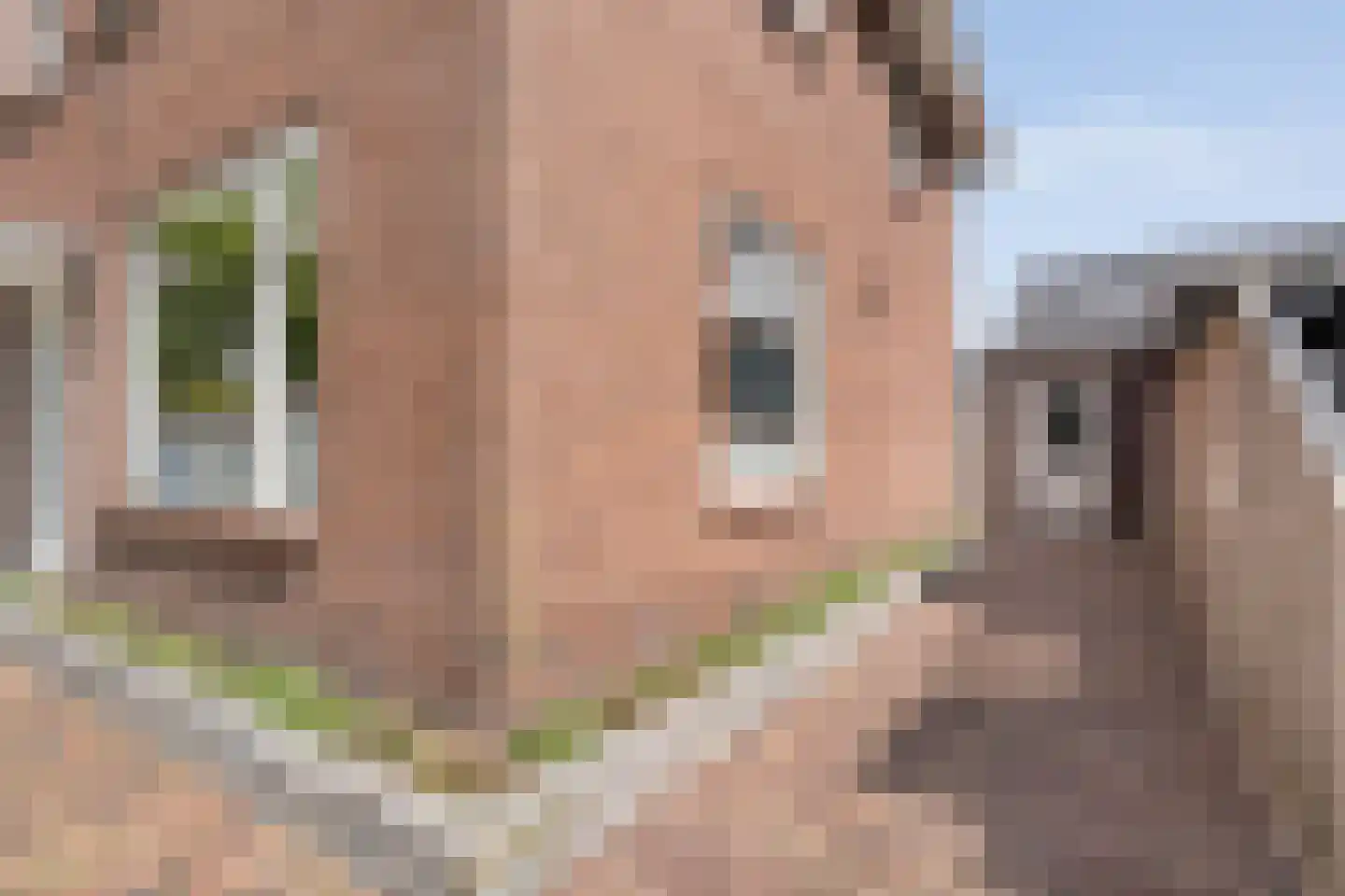 Nieuwe Deventerweg 89 Zwolle thumbnail 9