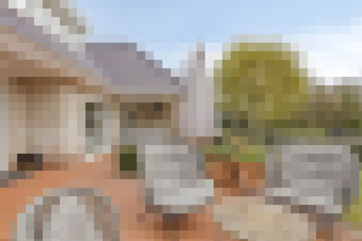 Nieuwe Diep 1 Goes thumbnail 103