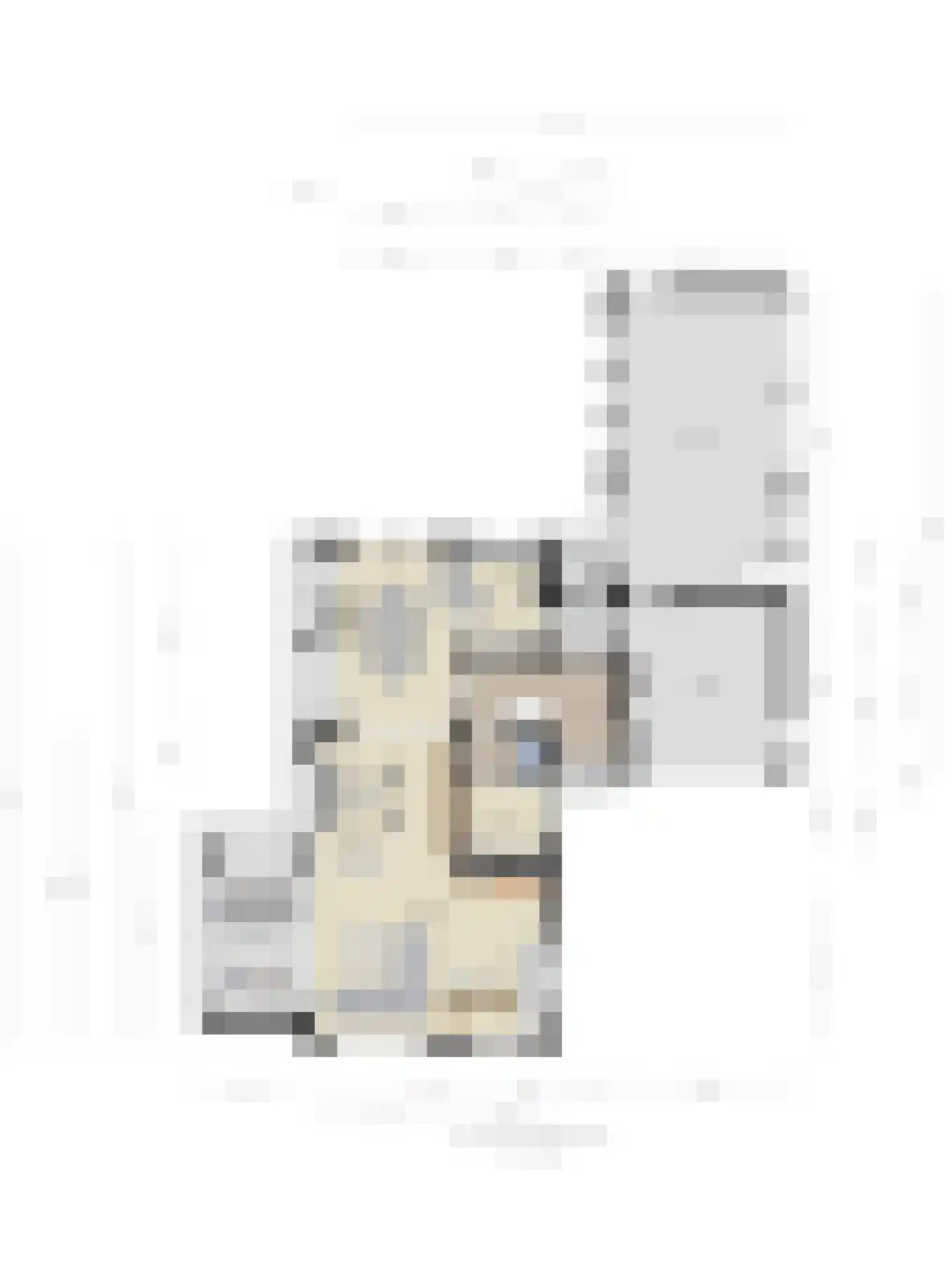 Nieuwe Diep 1 Goes thumbnail 121