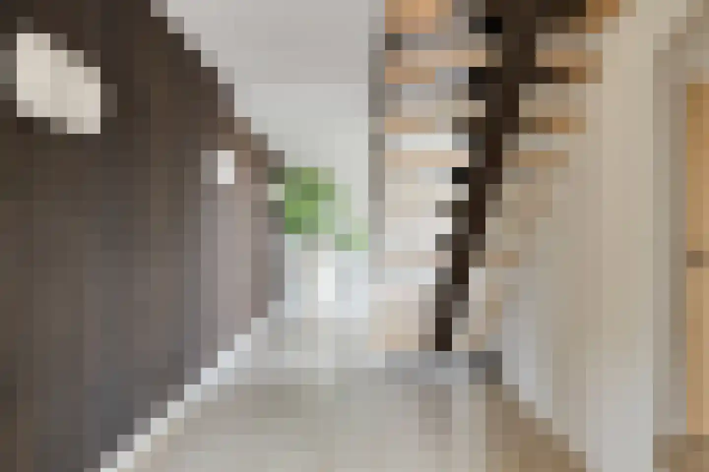 Nieuwe Diep 1 Goes thumbnail 20