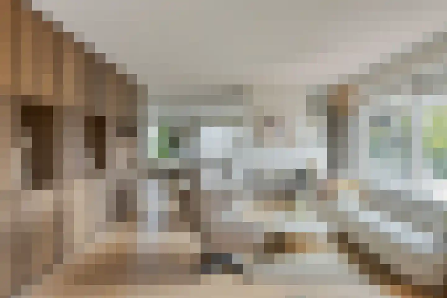 Nieuwe Diep 1 Goes thumbnail 25