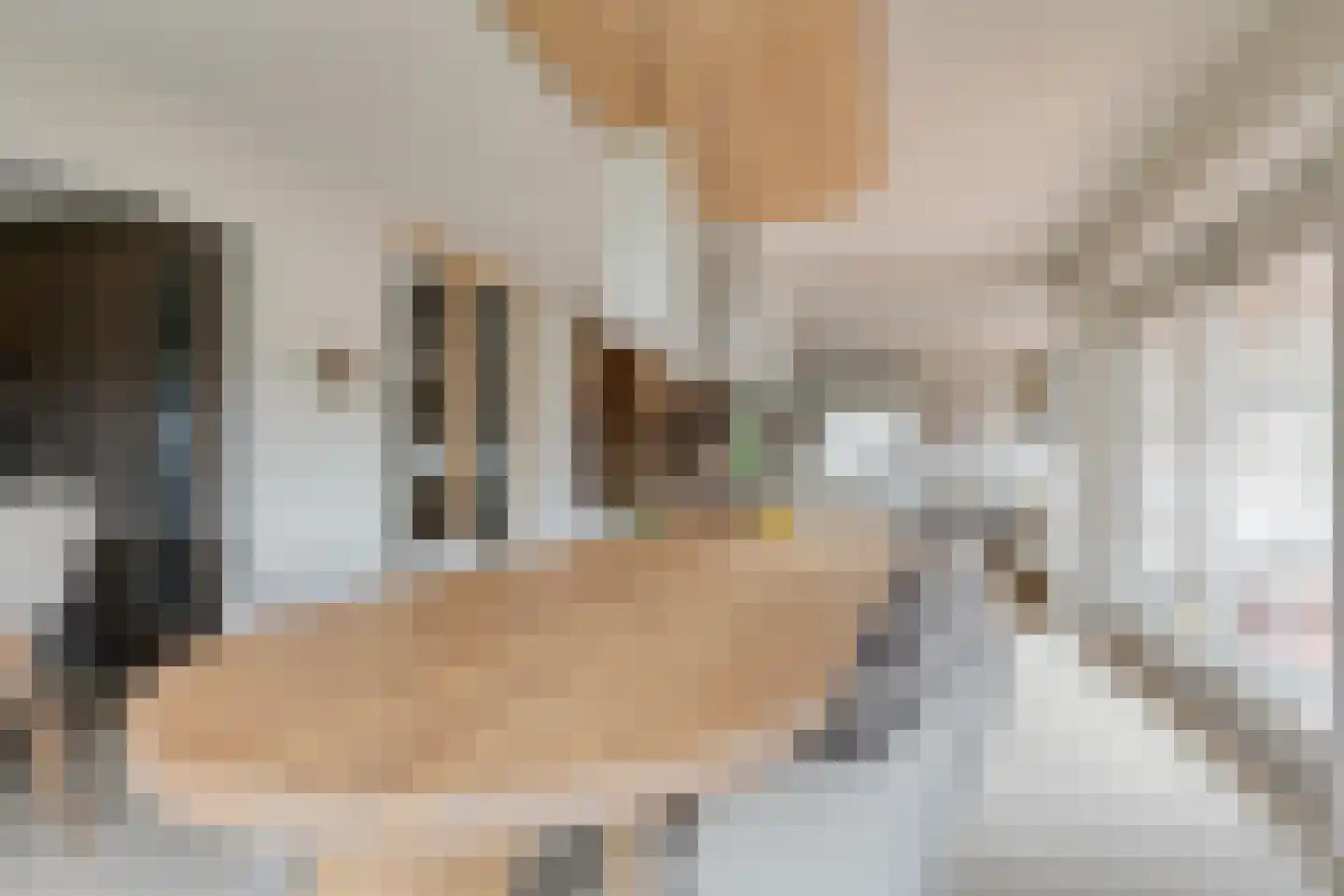 Nieuwe Diep 1 Goes thumbnail 27