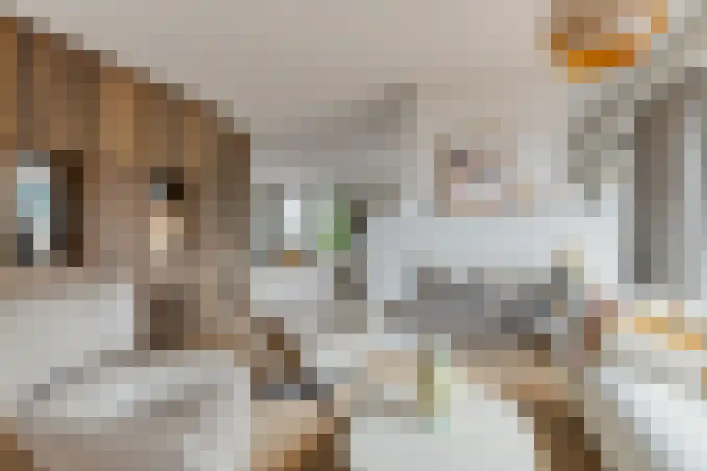 Nieuwe Diep 1 Goes thumbnail 28