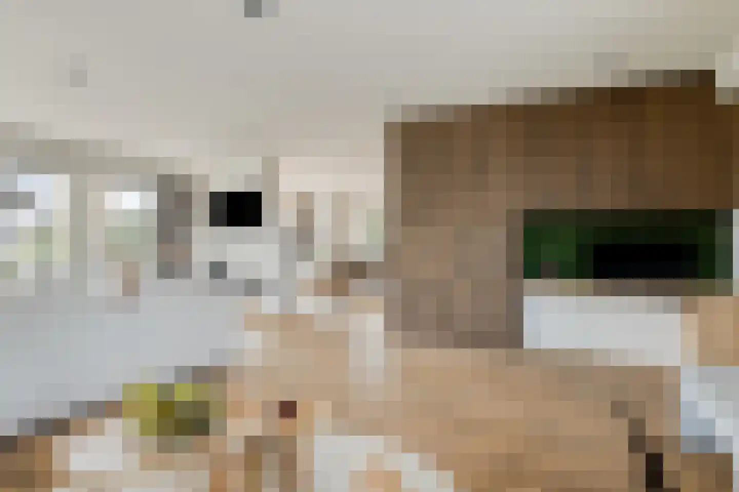 Nieuwe Diep 1 Goes thumbnail 37