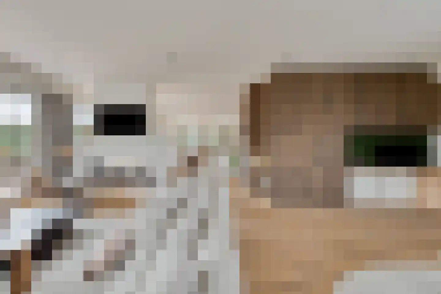 Nieuwe Diep 1 Goes thumbnail 39