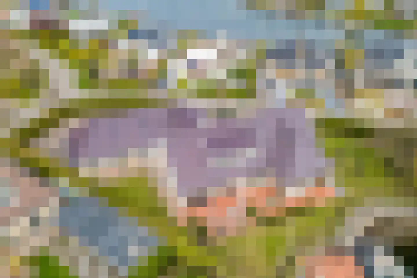 Nieuwe Diep 1 Goes thumbnail 5
