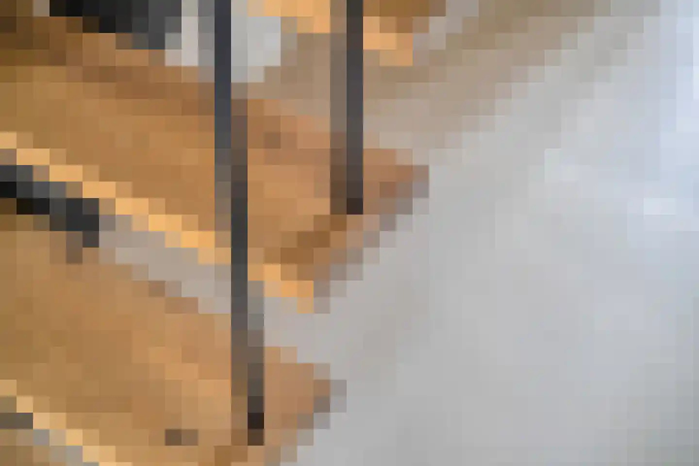 Nieuwe Diep 1 Goes thumbnail 51