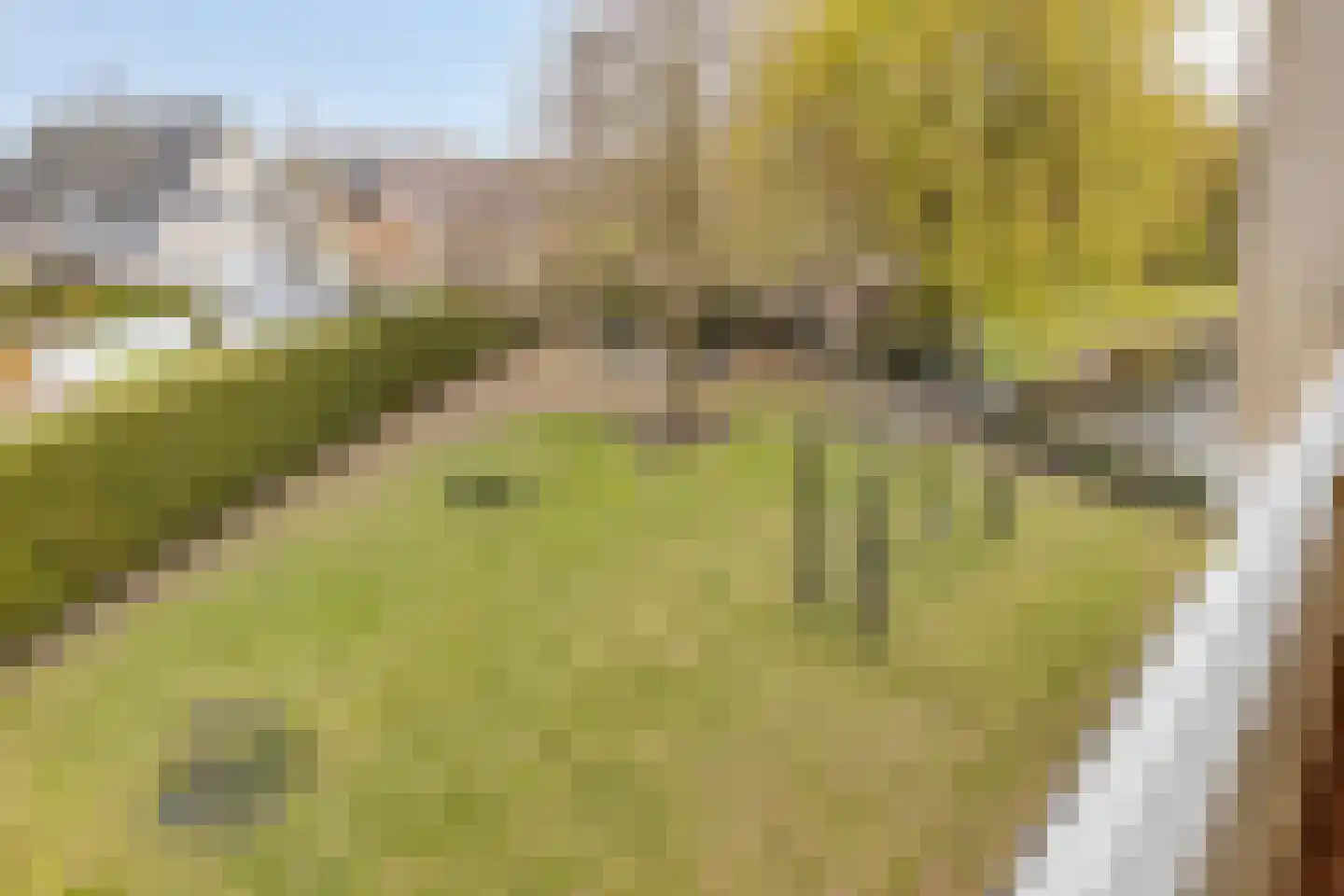 Nieuwe Diep 1 Goes thumbnail 84