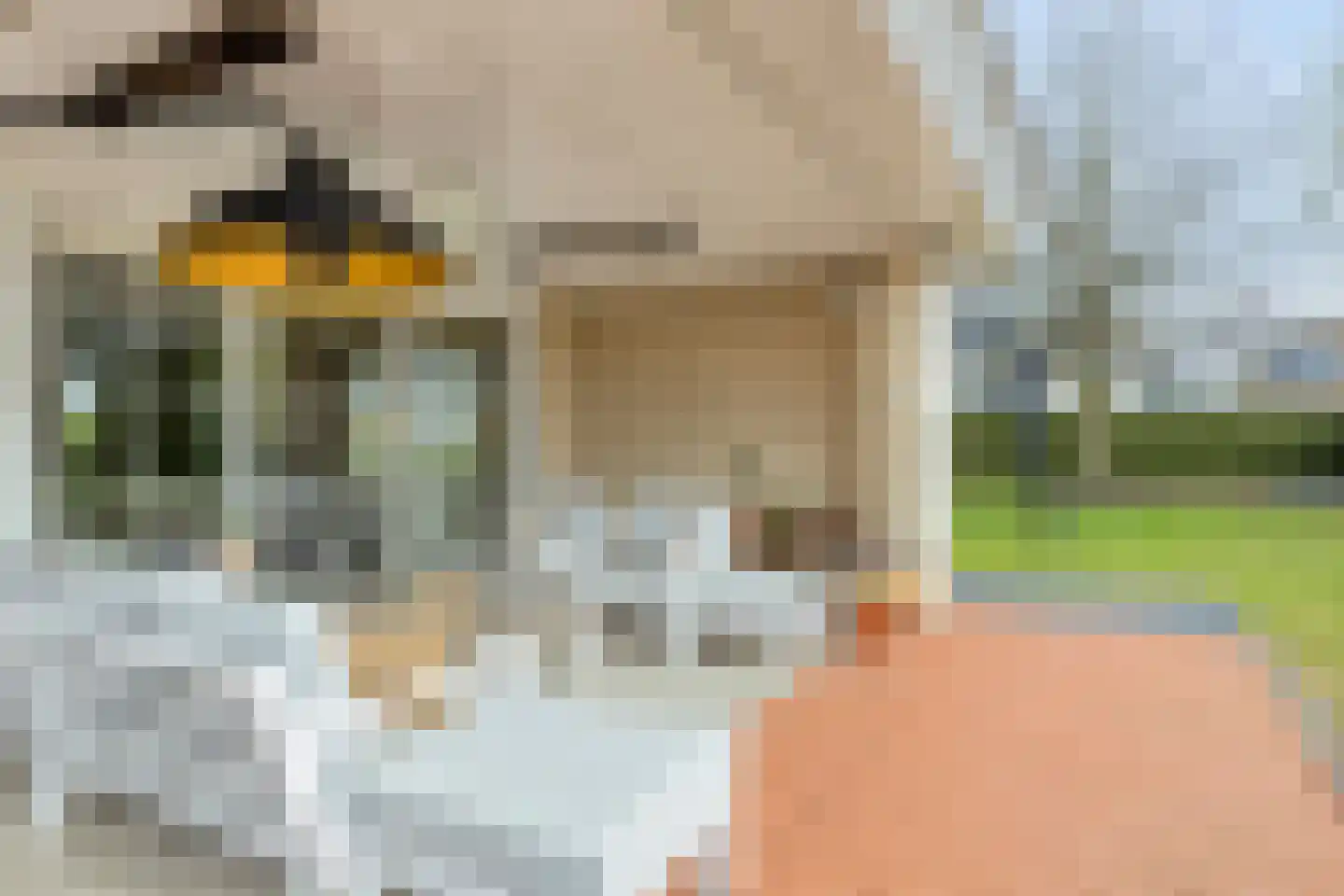 Nieuwe Diep 1 Goes thumbnail 90