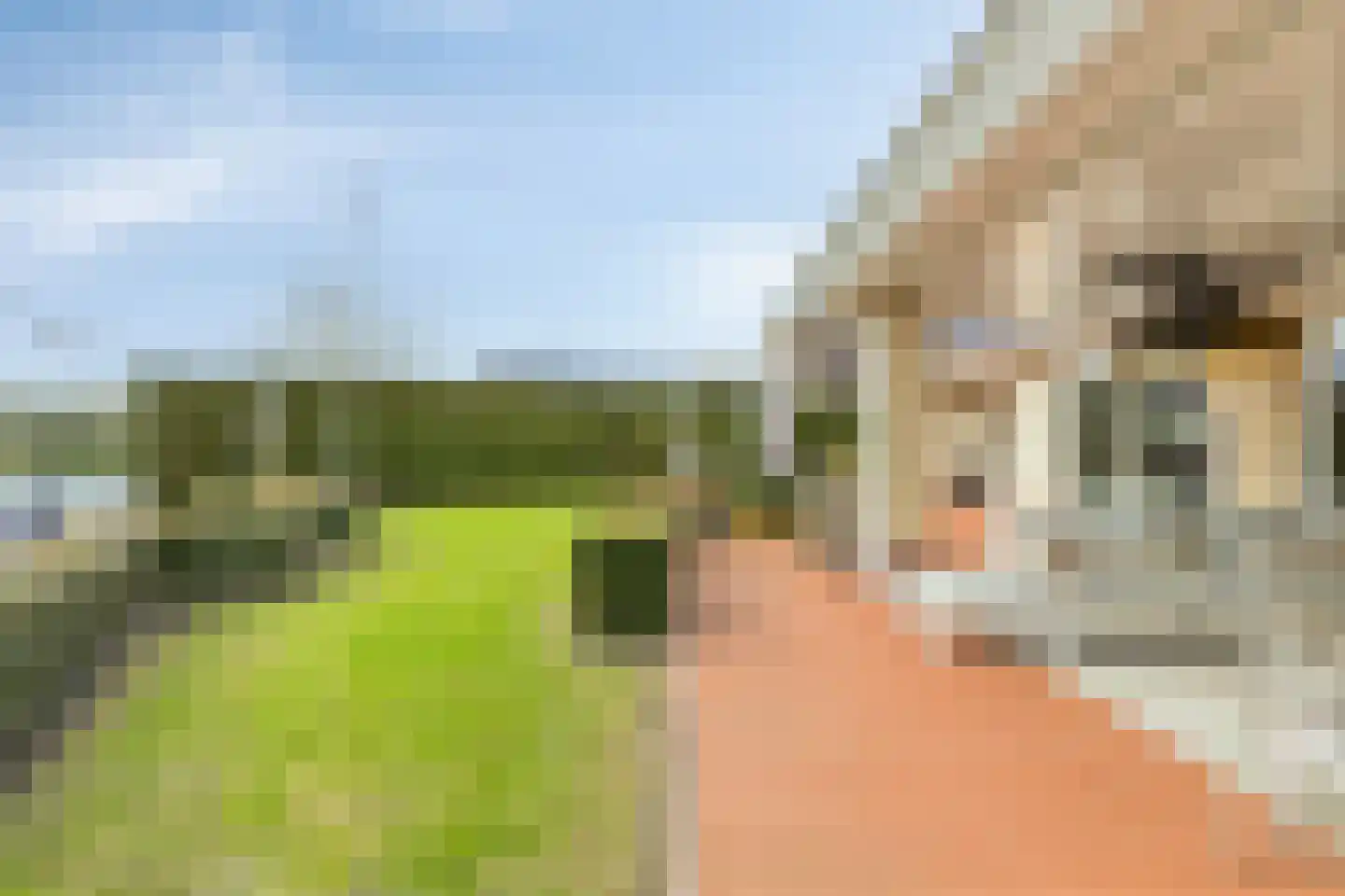 Nieuwe Diep 1 Goes thumbnail 91