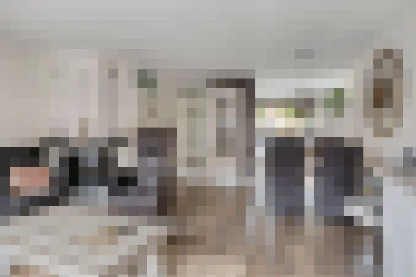 Nieuwe Diepstraat 13 Almere thumbnail 10
