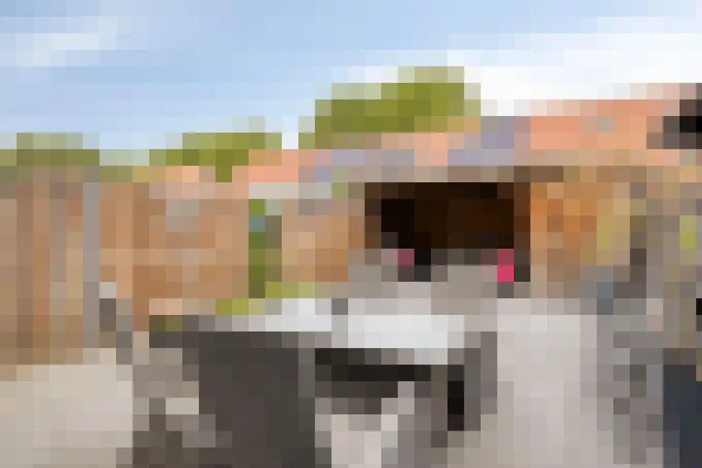 Nieuwe Diepstraat 13 Almere thumbnail 25