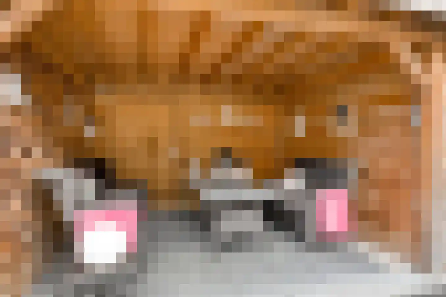 Nieuwe Diepstraat 13 Almere thumbnail 26