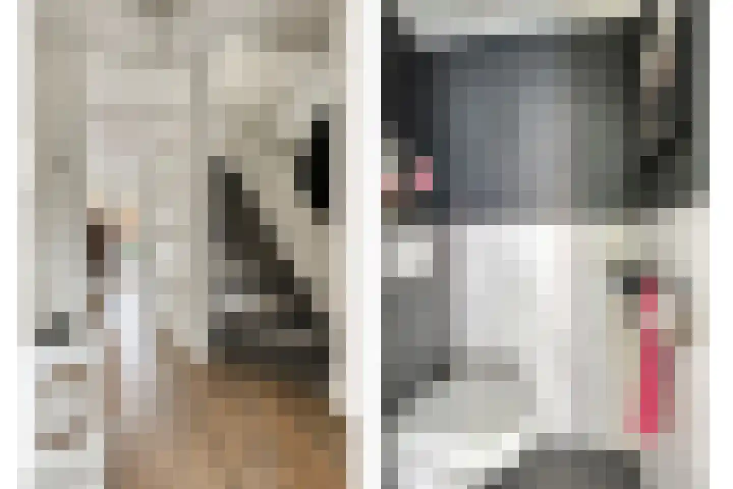 Nieuwe Diepstraat 13 Almere thumbnail 6