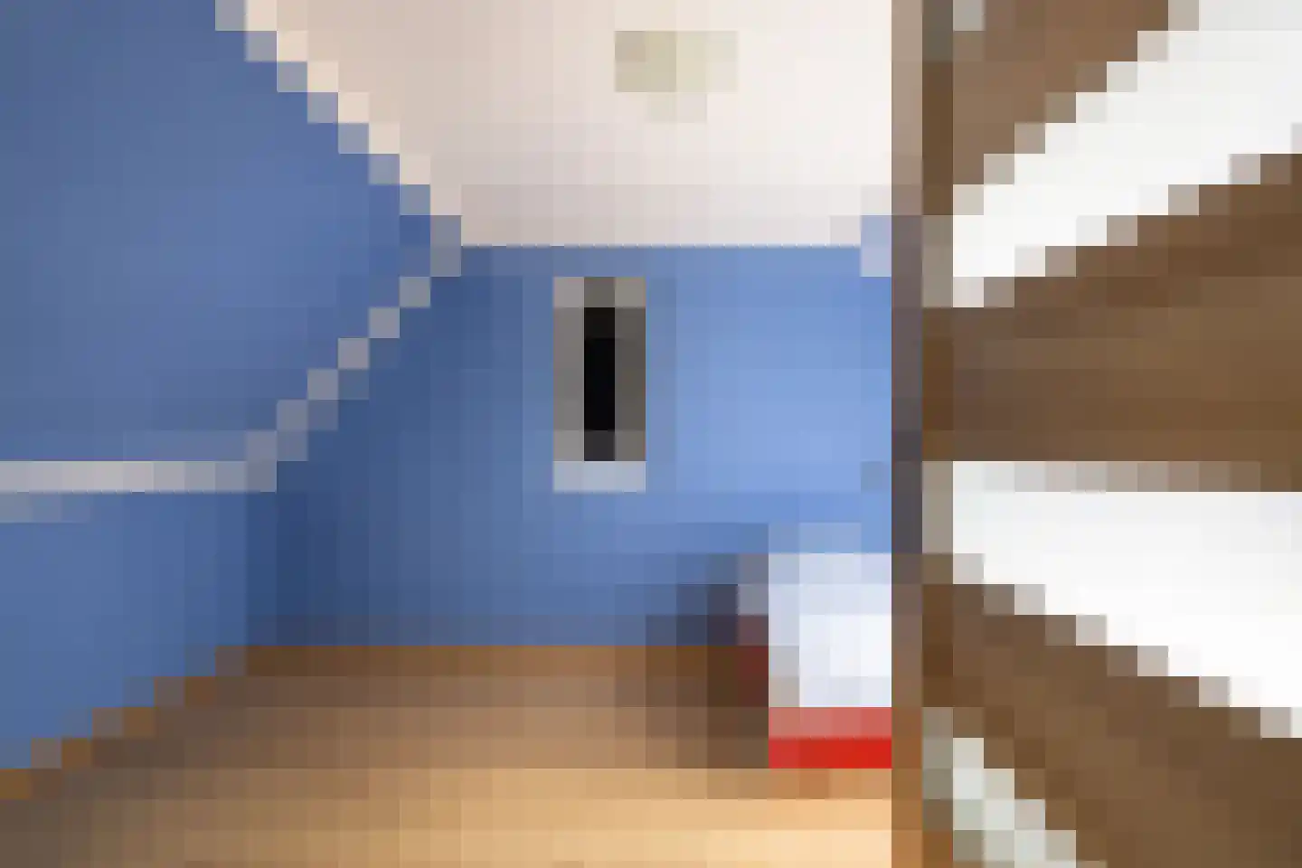 Nieuwe Diepstraat 23 Almere thumbnail 26