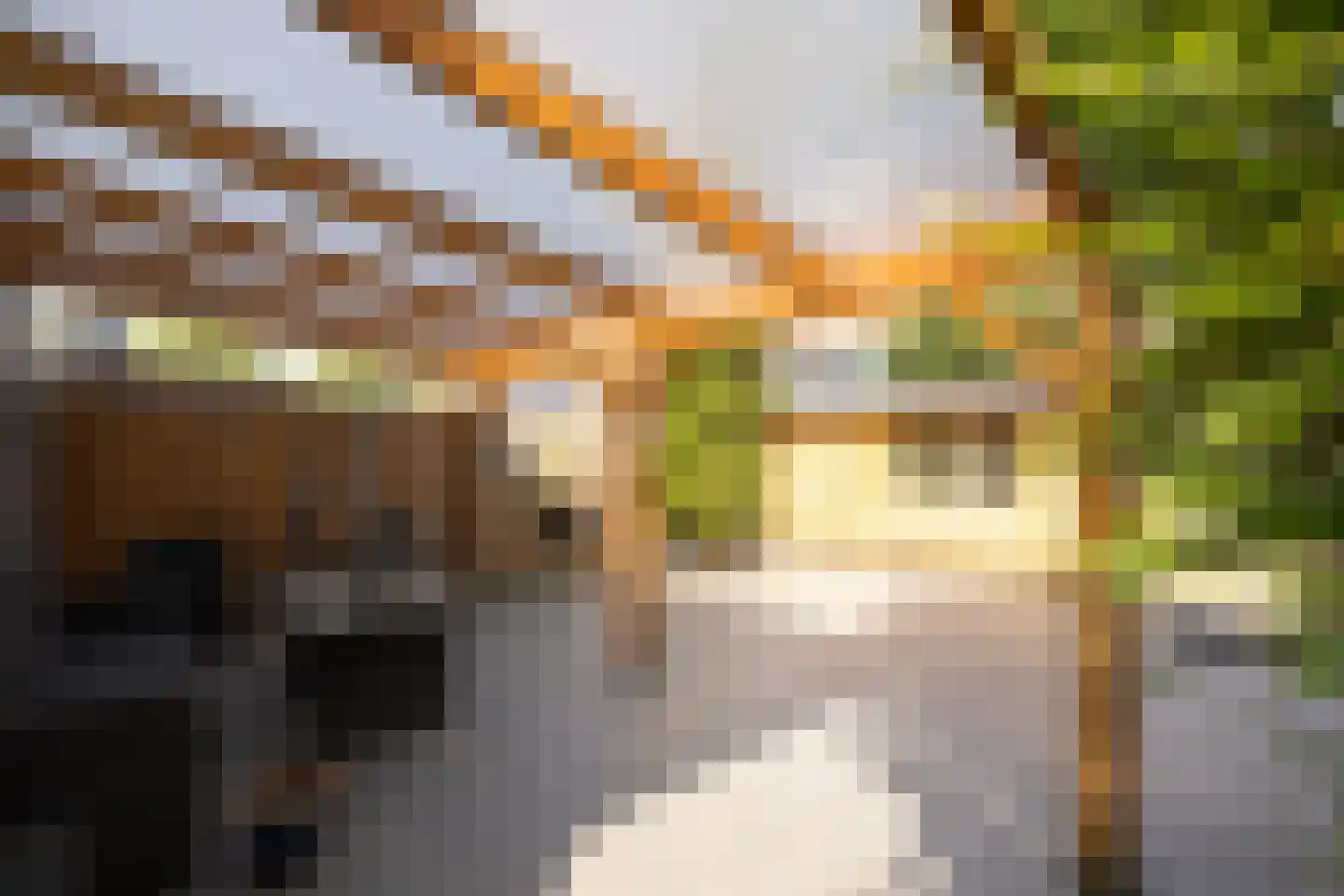 Nieuwe Diepstraat 23 Almere thumbnail 30