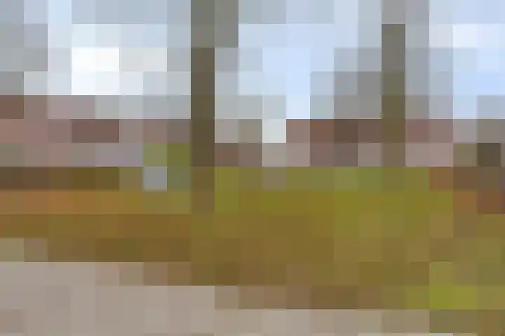 Nieuwe Diepstraat 45 Almere thumbnail 25
