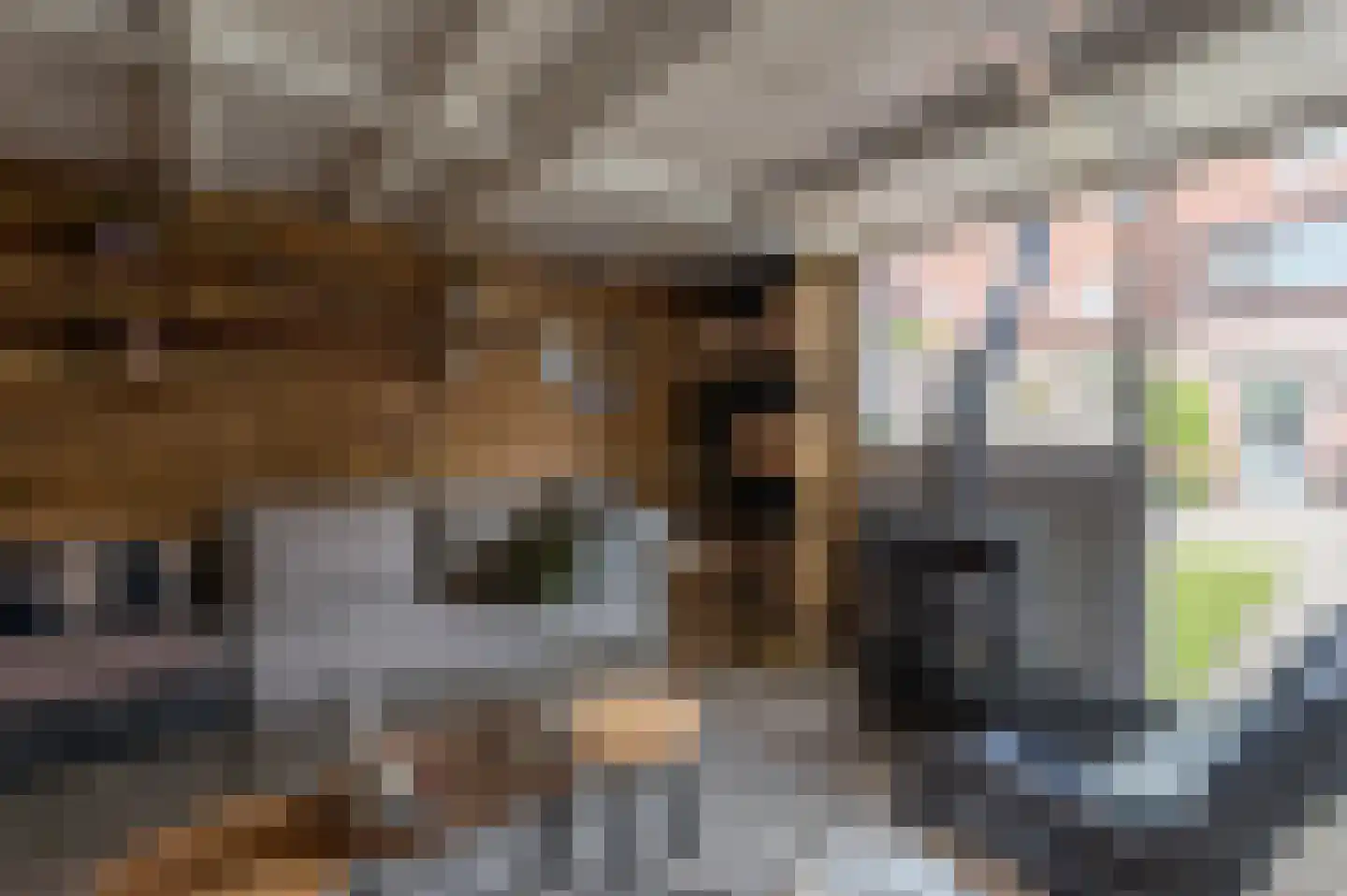 Nieuwe Diepstraat 6 Almere thumbnail 55