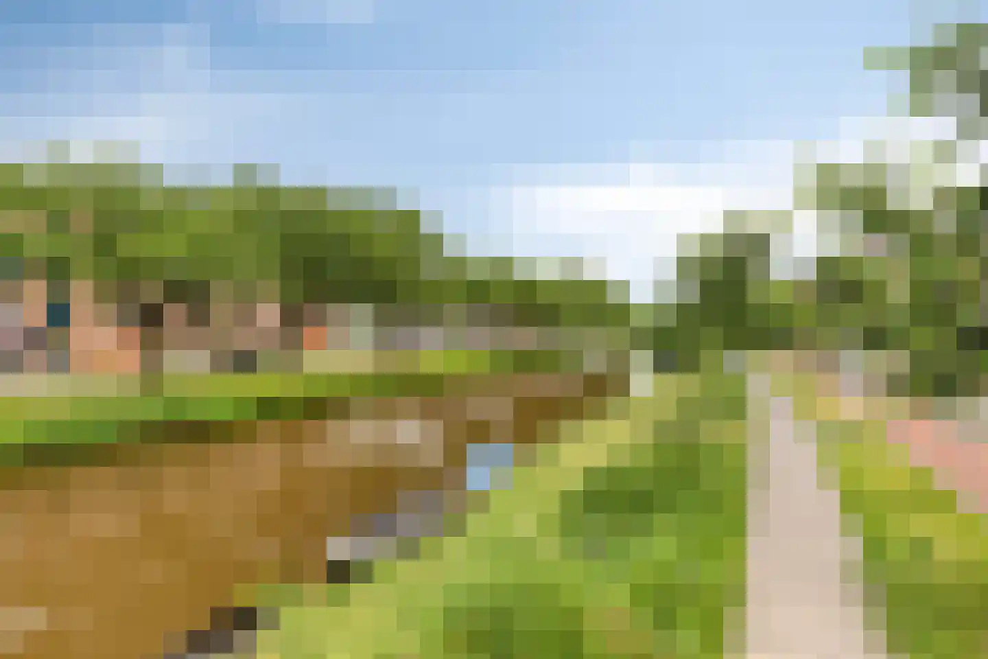 Nieuwe Dieststraat 186 Breda thumbnail 33