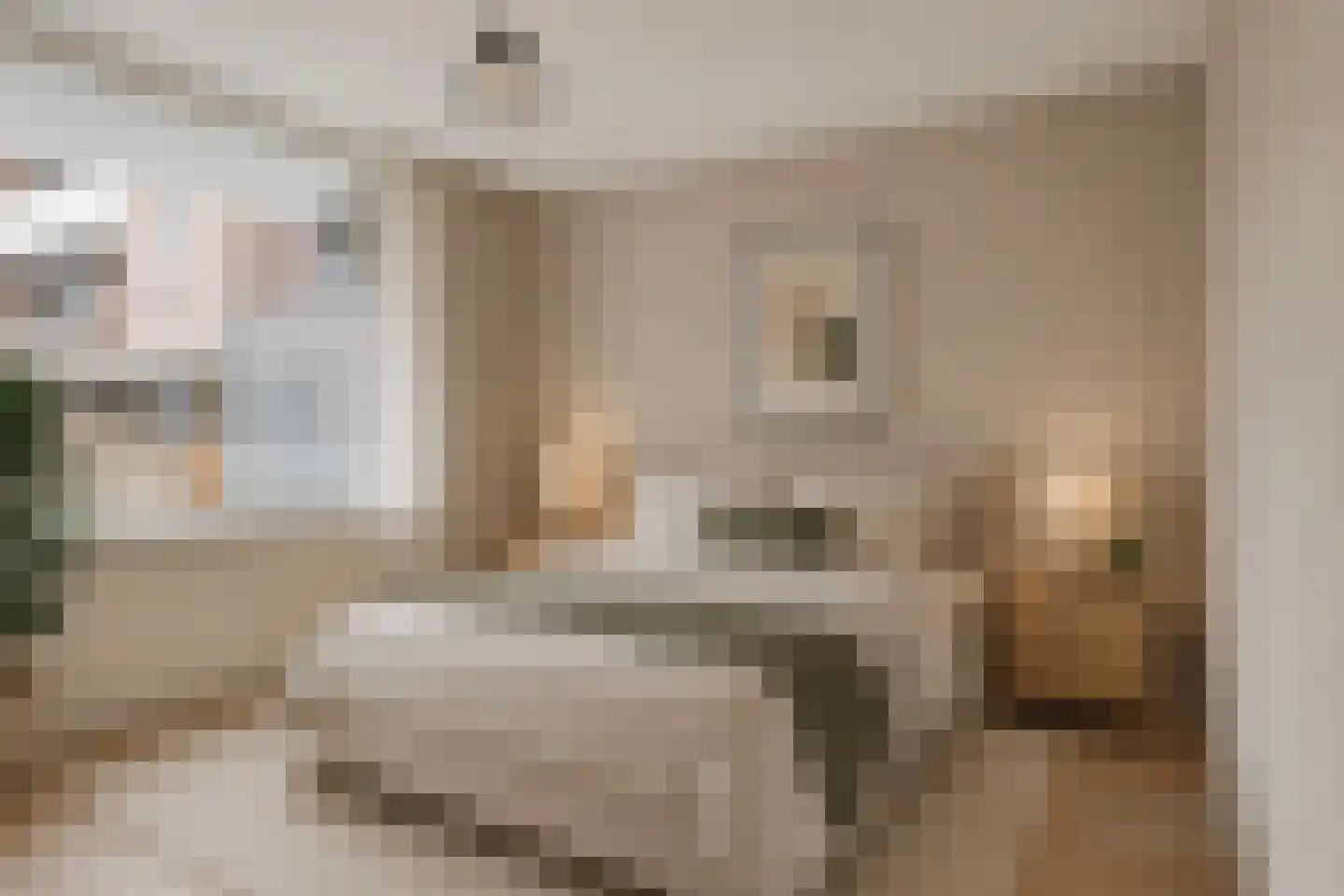 Nieuwe Dieststraat 186 Breda thumbnail 6
