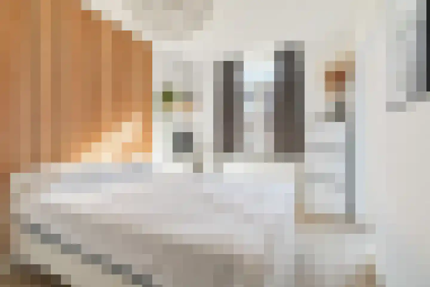 Nieuwe Dieststraat 192 Breda thumbnail 14