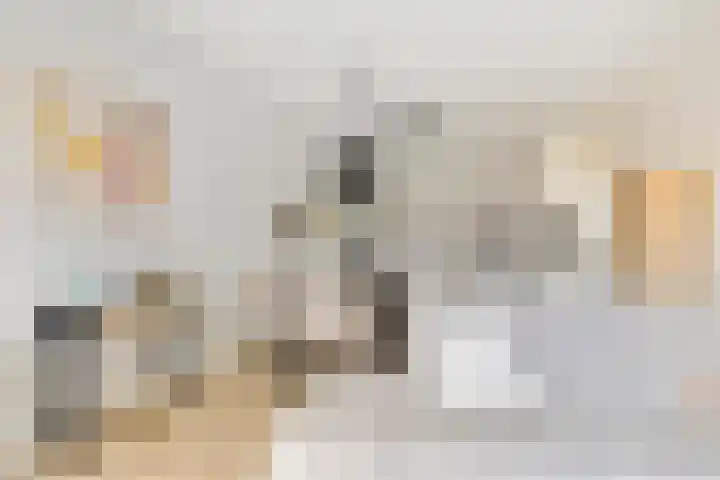Nieuwe Dieststraat 200 Breda thumbnail 12