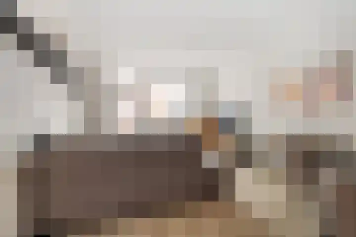 Nieuwe Dieststraat 200 Breda thumbnail 14