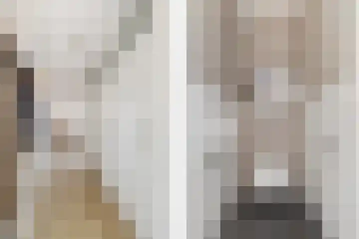 Nieuwe Dieststraat 200 Breda thumbnail 17