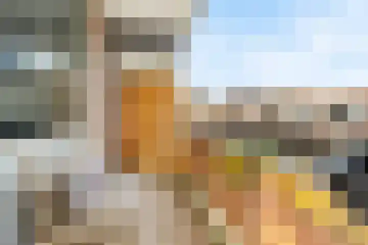 Nieuwe Dieststraat 200 Breda thumbnail 21