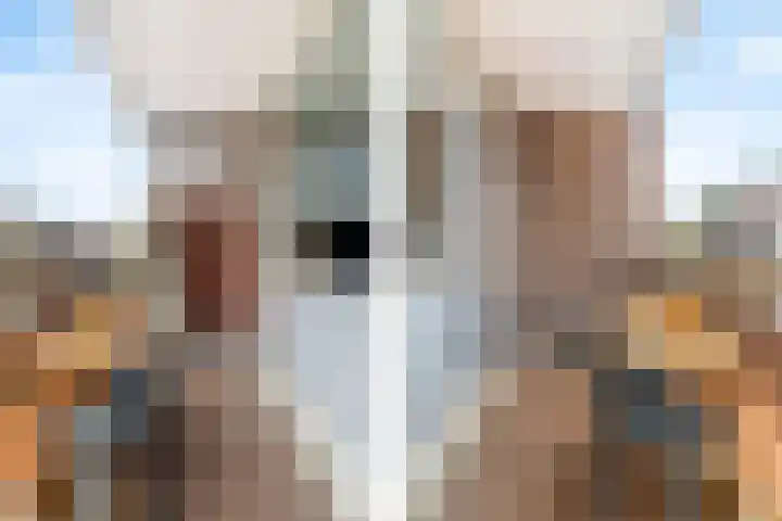 Nieuwe Dieststraat 200 Breda thumbnail 26