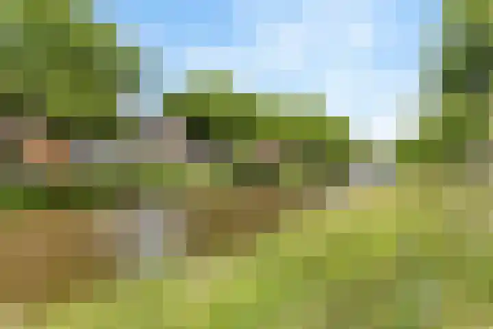Nieuwe Dieststraat 200 Breda thumbnail 28