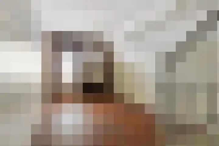 Nieuwe Dieststraat 200 Breda thumbnail 31