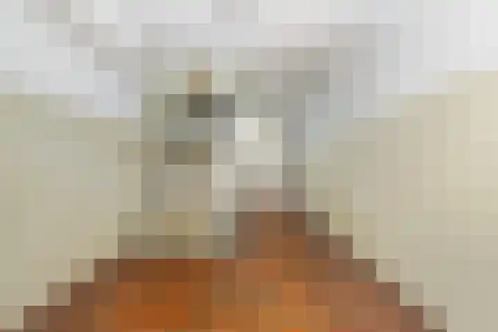 Nieuwe Dieststraat 200 Breda thumbnail 32