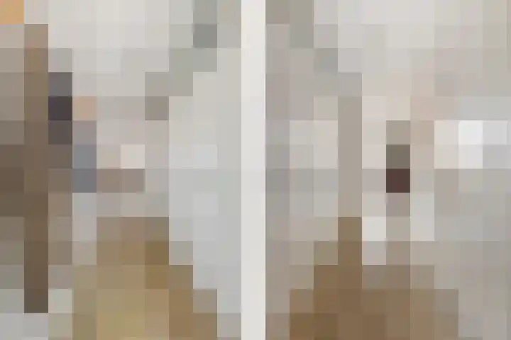 Nieuwe Dieststraat 200 Breda thumbnail 4