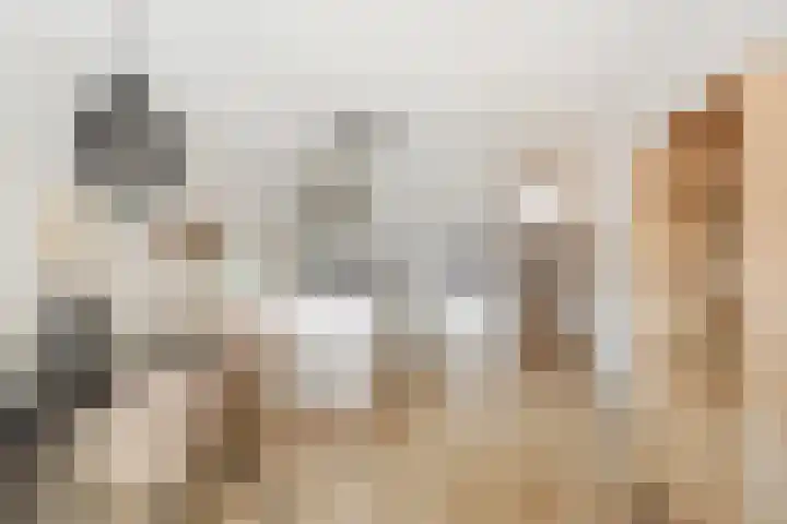 Nieuwe Dieststraat 200 Breda thumbnail 8