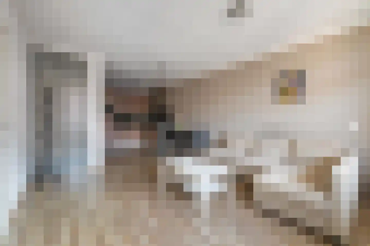 Nieuwe Dieststraat 218 Breda thumbnail 19
