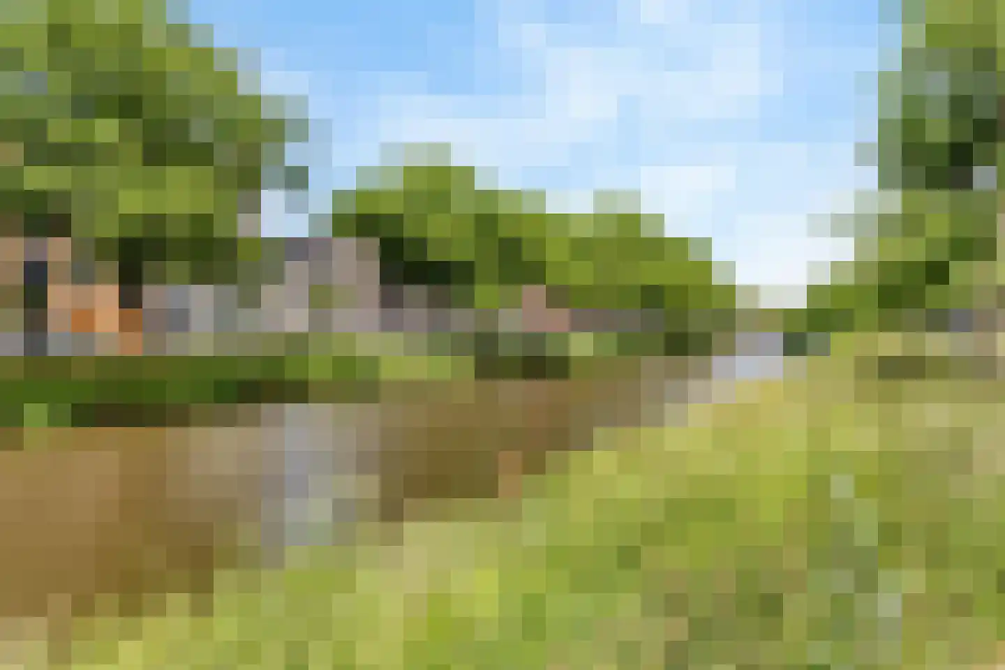 Nieuwe Dieststraat 218 Breda thumbnail 33