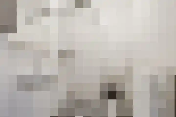 Nieuwe Dieststraat 224 Breda thumbnail 10