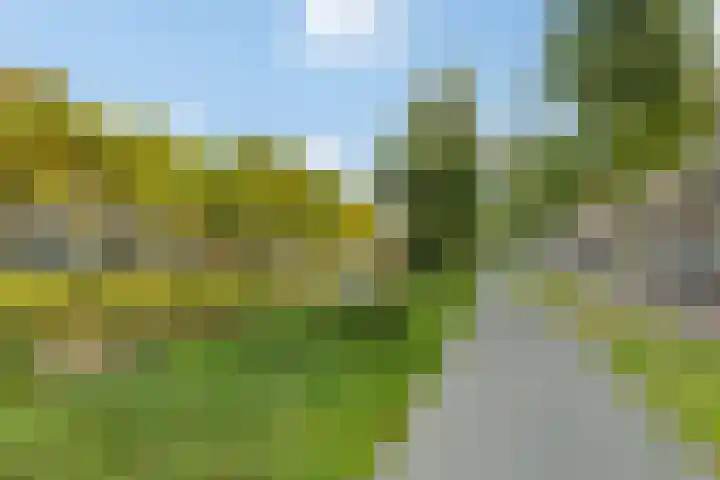 Nieuwe Dieststraat 224 Breda thumbnail 15