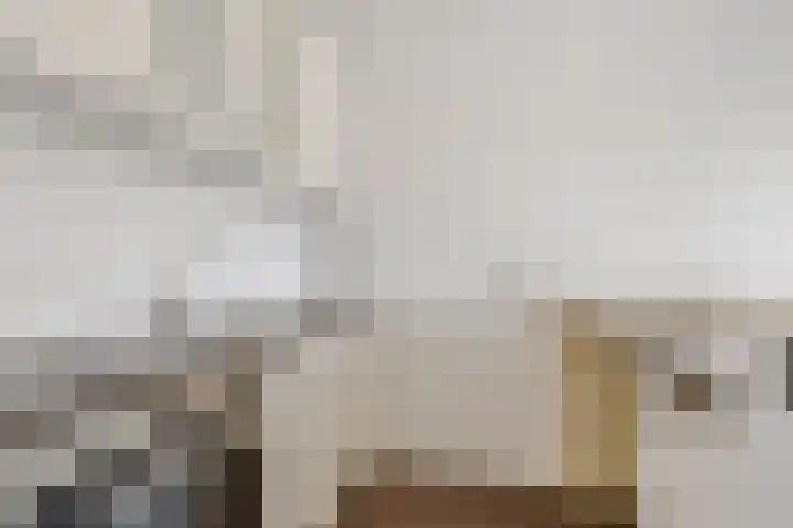 Nieuwe Dieststraat 224 Breda thumbnail 7