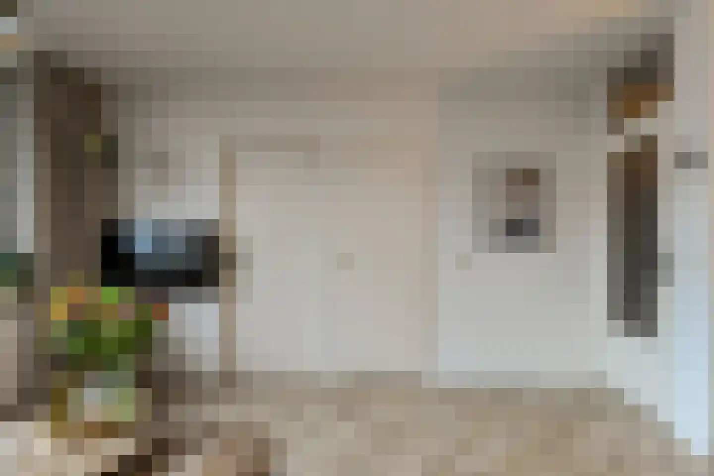 Nieuwe Dieststraat 240 Breda thumbnail 12