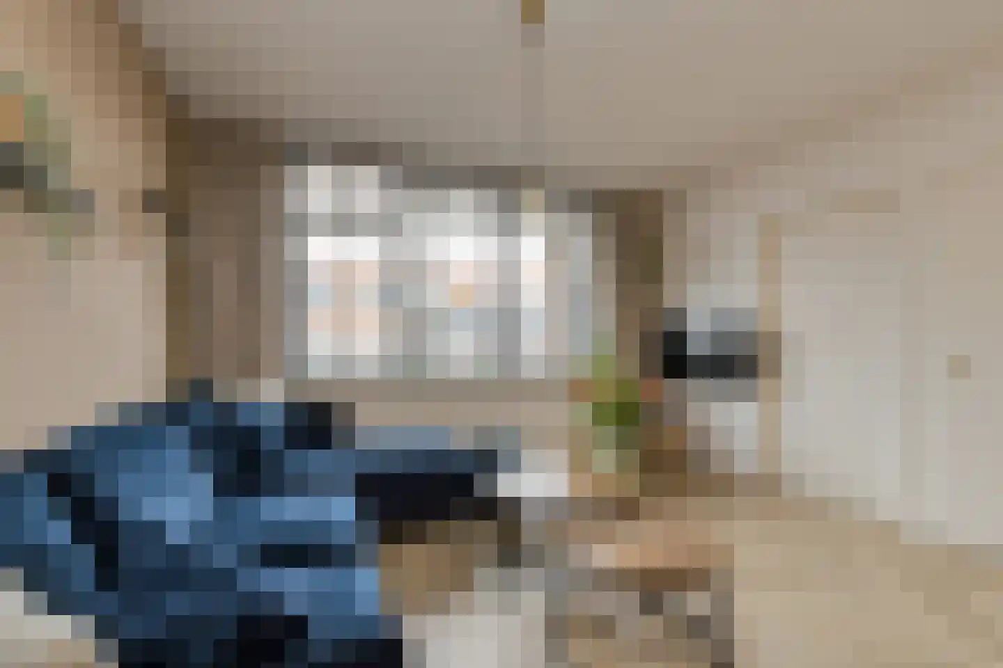 Nieuwe Dieststraat 240 Breda thumbnail 18
