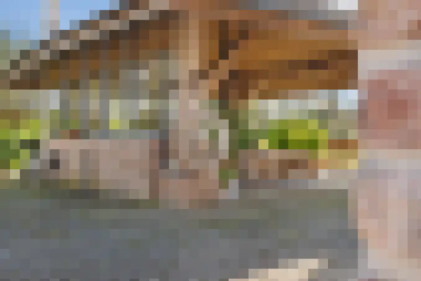 Nieuwe Dijk 13 Coevorden thumbnail 12