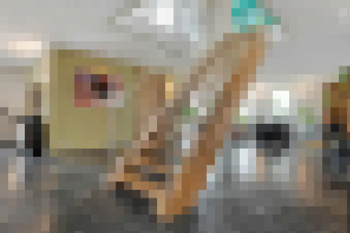 Nieuwe Dijk 13 Coevorden thumbnail 14