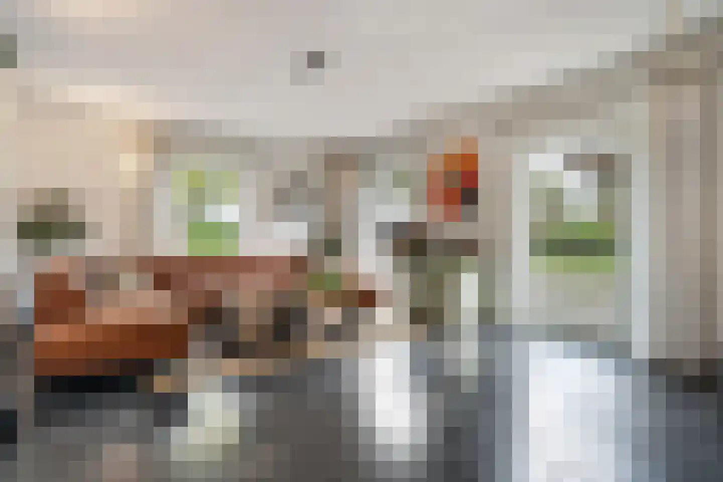 Nieuwe Dijk 13 Coevorden thumbnail 15