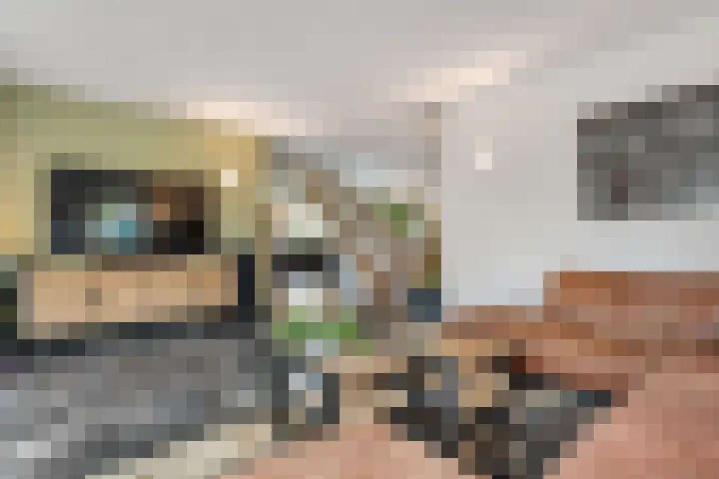 Nieuwe Dijk 13 Coevorden thumbnail 16